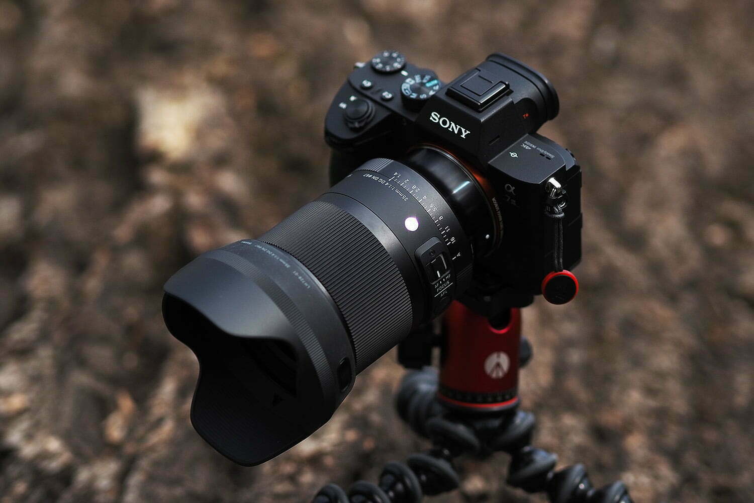 Sigma 35mm Nikon